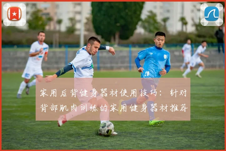 家用后背健身器材使用技巧：针对背部肌肉训练的家用健身器材推荐