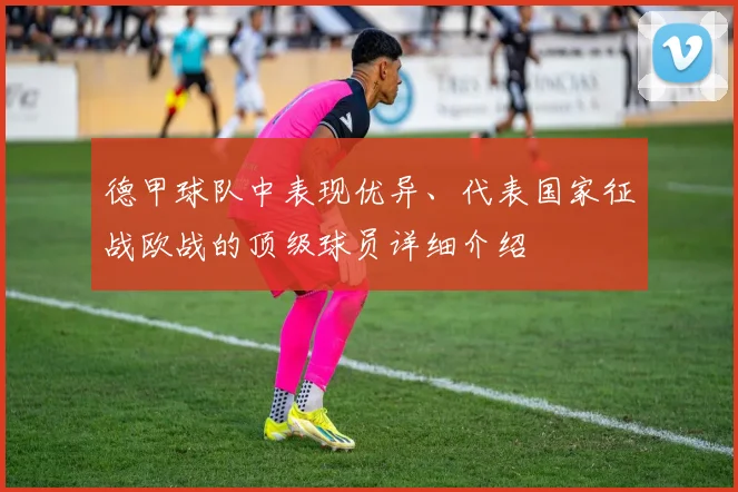 德甲球队中表现优异、代表国家征战欧战的顶级球员详细介绍
