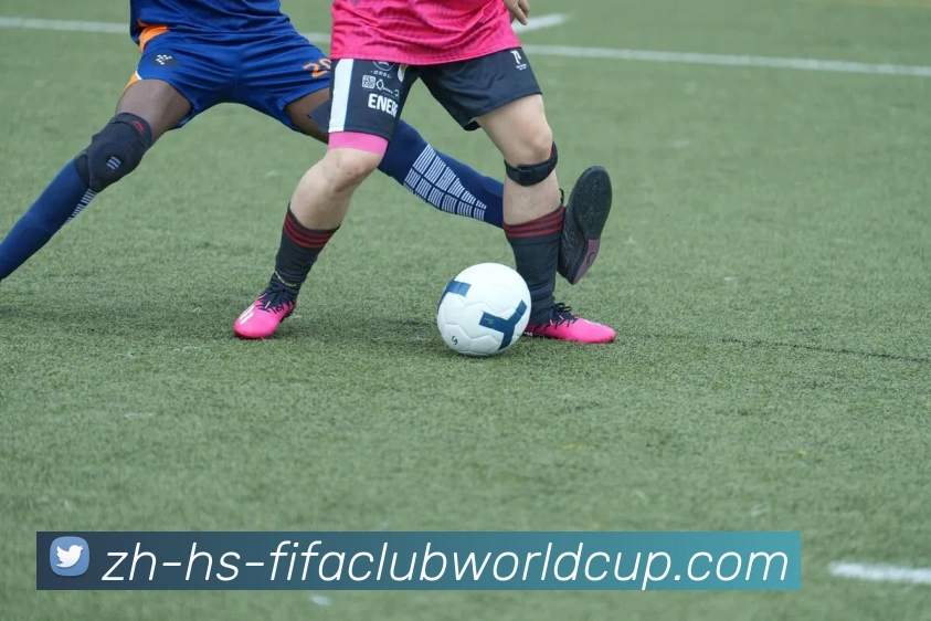 世界杯赛程平台生态图